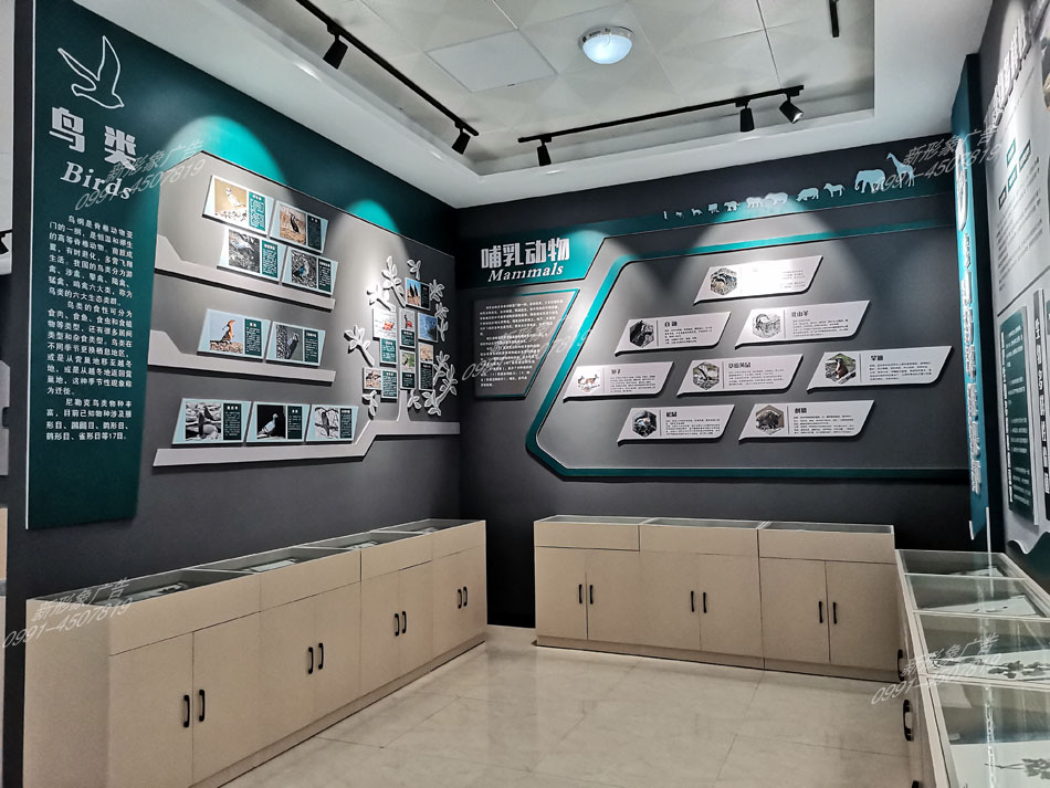 研學館鳥類、哺乳動物展廳設計制作